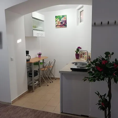 Apartment Casa Green Life Sibiu
